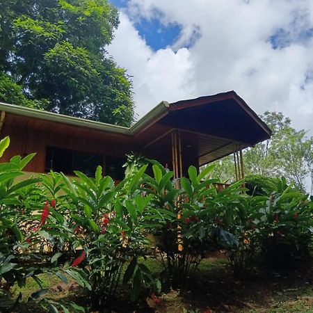 Gambas Lodge La Fortuna Exteriér fotografie