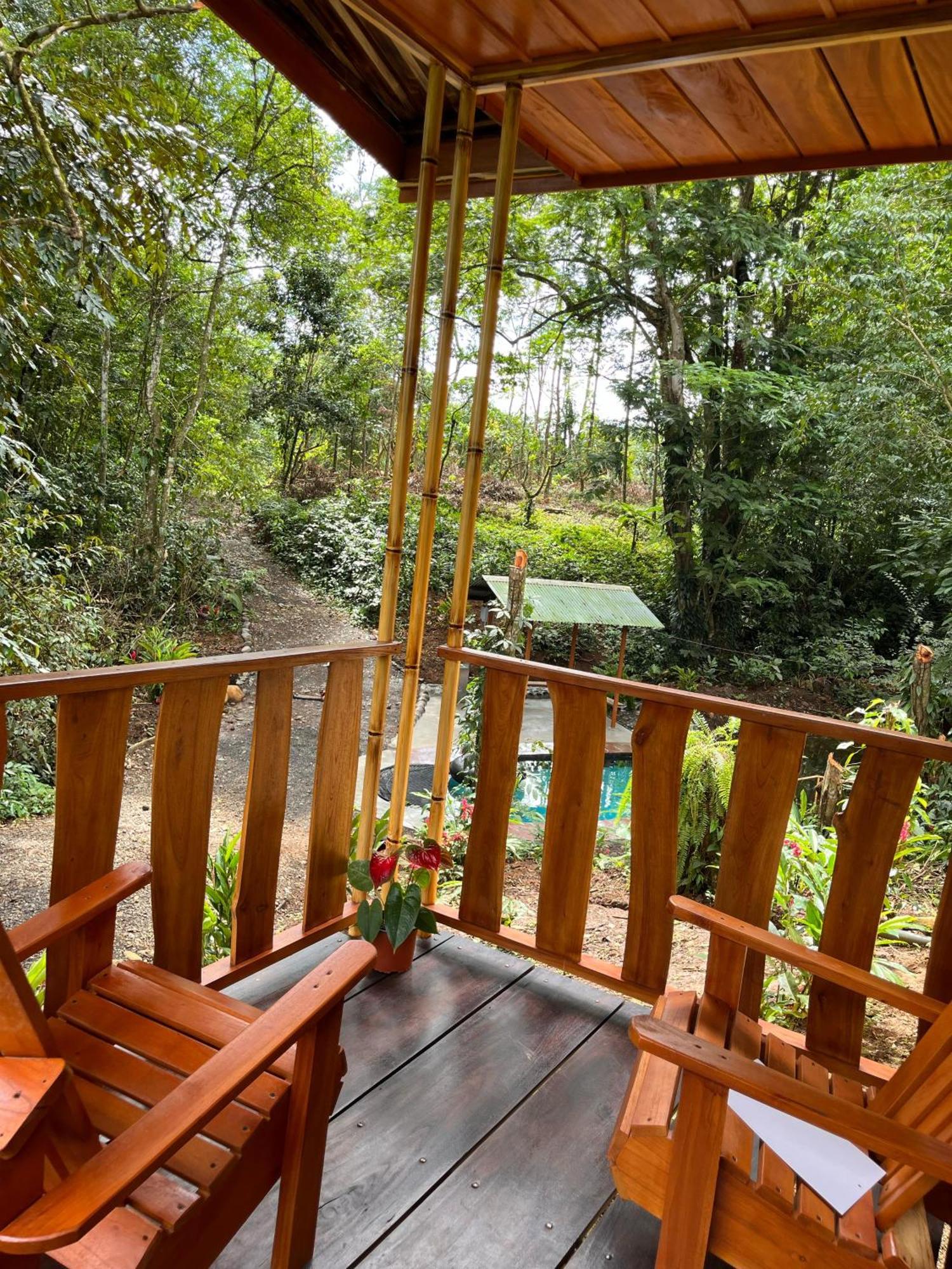 Gambas Lodge La Fortuna Exteriér fotografie