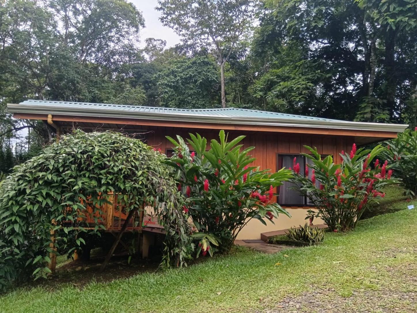 Gambas Lodge La Fortuna Exteriér fotografie